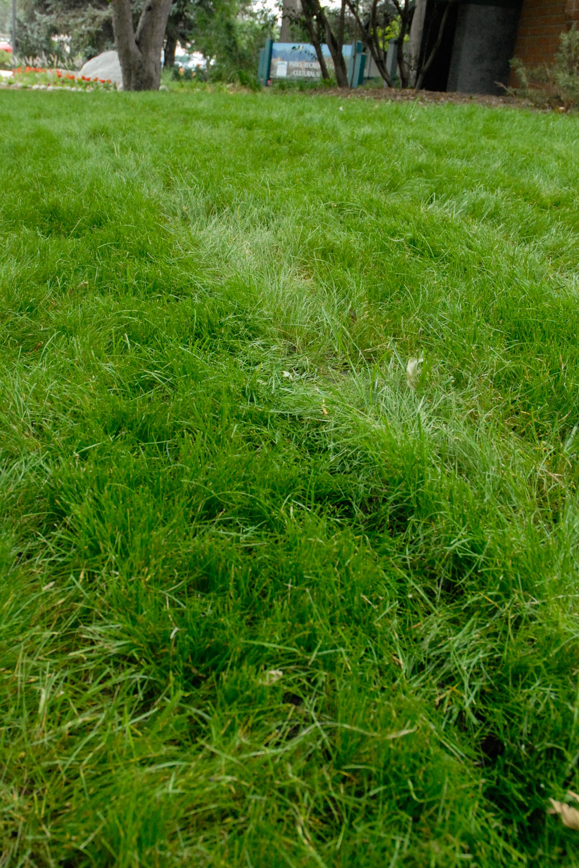 Parks and Rec Renovation